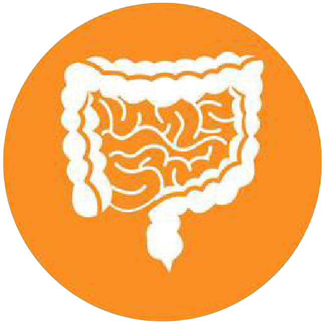 關(guān)注職場“腸”態(tài)，守護(hù)員工健康——上海格瑞特特邀消化內(nèi)科專家公益系列講座（4）(圖4)